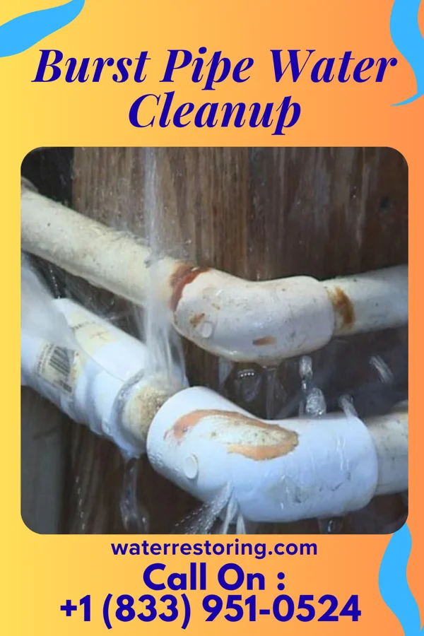 Burst Pipe Water Cleanup in Gypsum, KS